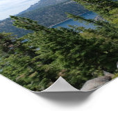 Mooie Tahoe-schildpad Poster (Hoek)