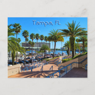 Mooie Tampa, Florida Briefkaart