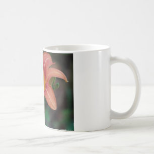 Mooie Tawny Daglelies Kleding en Cadeaus Koffiemok