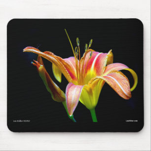 Mooie Tawny Daylily II Kleding en Cadeaus Muismat