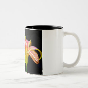 Mooie Tawny Daylily II Kleding en Cadeaus Tweekleurige Koffiemok