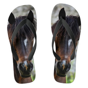 Mooie Teenslippers van bruine paarden