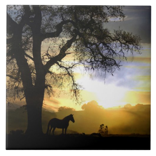 Mooie Tegel voor paarden en eikenbomen Tegeltje (Voorkant)
