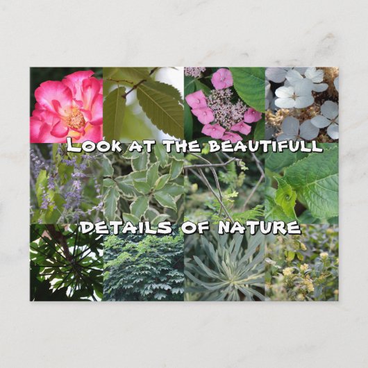 mooie tekst groen voorjaar briefkaart (Voorkant)