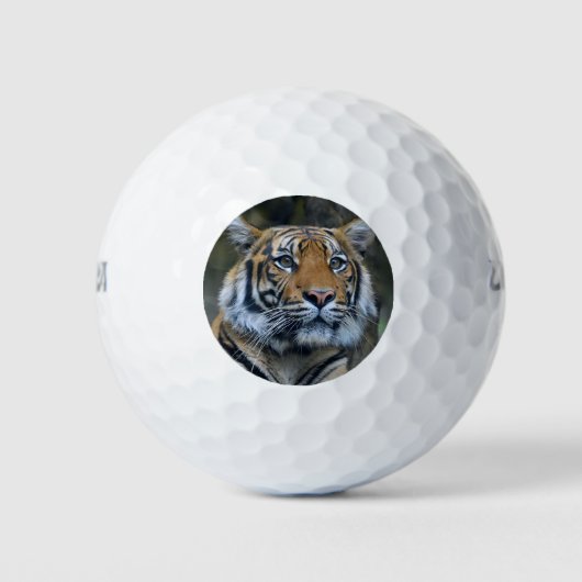 Mooie Tiger Golf Balls Golfballen (Voorkant)