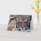 Mooie Tijger Al Gelegenheid Kaart (Gele Bloem)