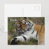 Mooie Tijger Bedankkaart Briefkaart (Voorkant / Achterkant)