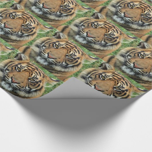 Mooie tijger cadeaupapier (Hoek)
