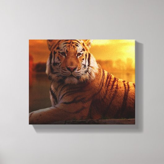 Mooie tijger canvas afdruk (Voorkant)