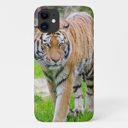 Mooie tijger Case-Mate iPhone case (Achterkant)
