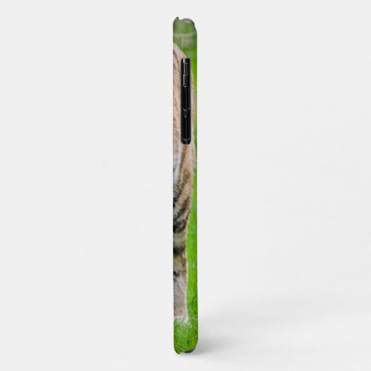 Mooie tijger Case-Mate iPhone case (Achterkant/links)