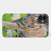 Mooie tijger Case-Mate iPhone case (Achterkant (horizontaal))