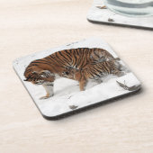 Mooie tijger en kaap bier onderzetter (Linkerzijde)