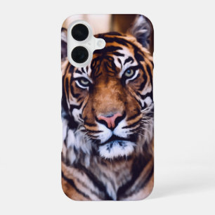 Mooie Tijger Gezicht Dier Wilde Dieren iPhone 16 Hoesje