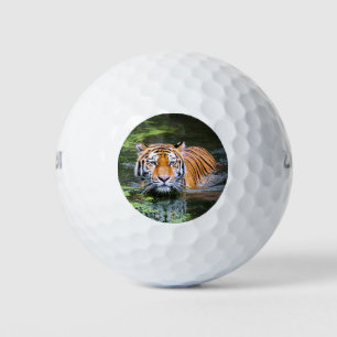 Mooie tijger in het water golfballen