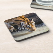 Mooie tijger in het watergat bier onderzetter (Linkerzijde)