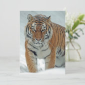 Mooie tijger in sneeuw feestdagenkaart (Staand voorkant)