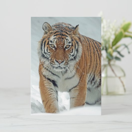 Mooie tijger in sneeuw feestdagenkaart (Staand voorkant)