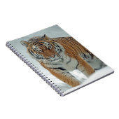 Mooie tijger in sneeuw notitieboek (Rechterzijde)
