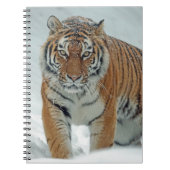 Mooie tijger in sneeuw notitieboek (Voorkant)