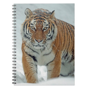 Mooie tijger in sneeuw notitieboek