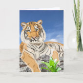 Mooie Tijger Kaart (Voorkant)