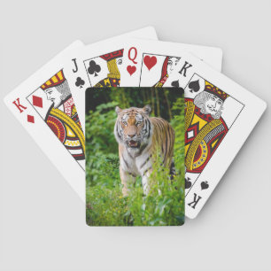 Mooie Tijger kaartspel Pokerkaarten