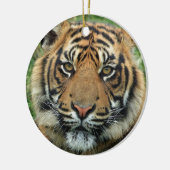 Mooie tijger keramisch ornament (Links)