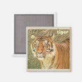Mooie Tijger Magneet! Magneet (Voorkant / Achterkant)