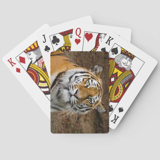 Mooie tijger pokerkaarten (Achterkant)