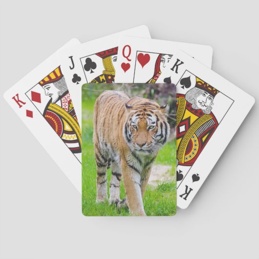 Mooie tijger pokerkaarten (Achterkant)