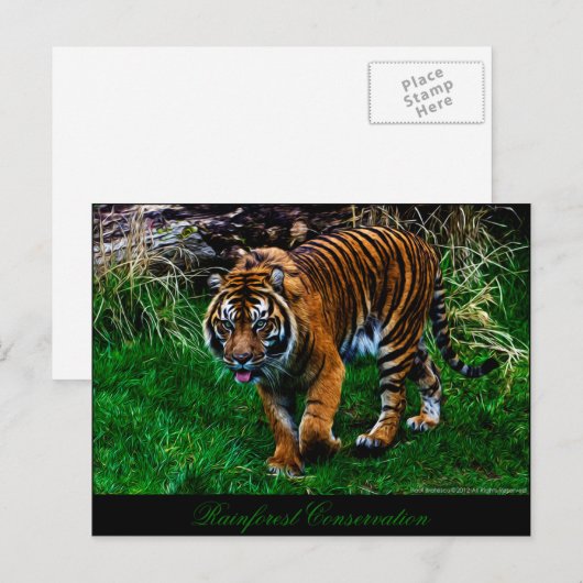 Mooie Tijger Sumatran Briefkaart (Voorkant / Achterkant)