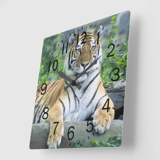 Mooie tijger vierkante klok (Hoek)