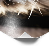 Mooie tijgergezicht foto afdruk (Hoek)