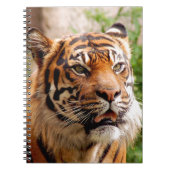 Mooie tijgergezicht notitieboek (Voorkant)