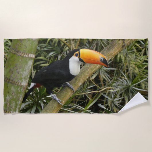 Mooie Toucan strandlaken (Voorkant)