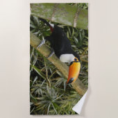 Mooie Toucan strandlaken (Voorkant)