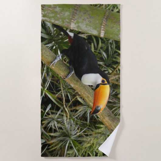 Mooie Toucan strandlaken (Voorkant)