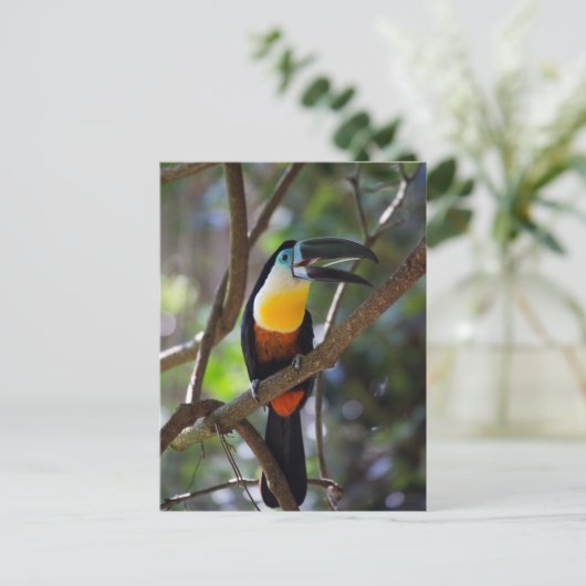 Mooie touchvogel in een natuur omgeving briefkaart (Staand voorkant)