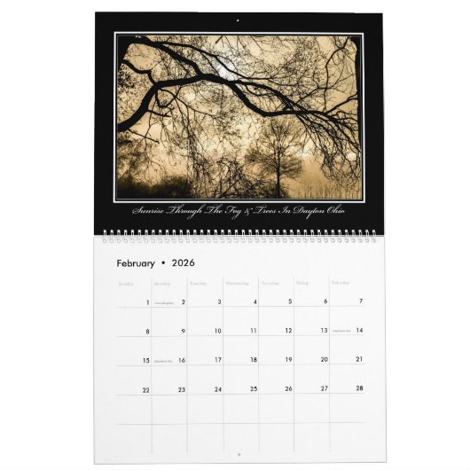 Mooie Trees 2017-agenda van Thomas Minutolo Kalender (Feb 2026)