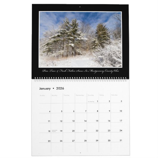 Mooie Trees 2017-agenda van Thomas Minutolo Kalender (Jan 2026)