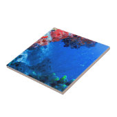 Mooie tropische koraalriffen voor Zeeen Tegeltje (Zijkant)