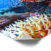 Mooie tropische langoest poster (Hoek)