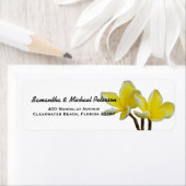 Mooie tropische plumeria bloemen etiket (Insitu)