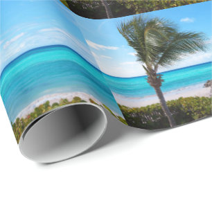 Mooie Tropische Strand Waaier P almboom Patroon Cadeaupapier