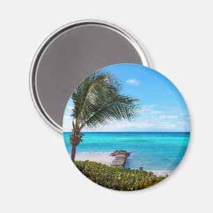 Mooie Tropische Strand Waaierachtige Palmboom Magneet