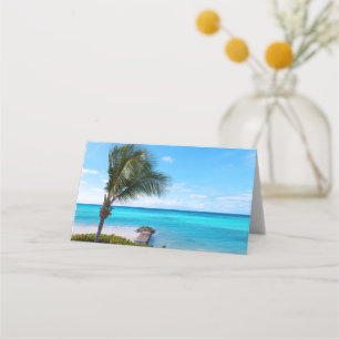 Mooie Tropische Strand Waaierige Palmboom Plaatskaartje