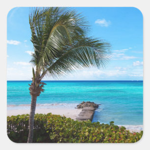 Mooie Tropische Strand Waaierige Palmboom Vierkante Sticker