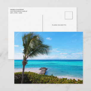 Mooie Tropische Strand Winderige Palmboom Briefkaart