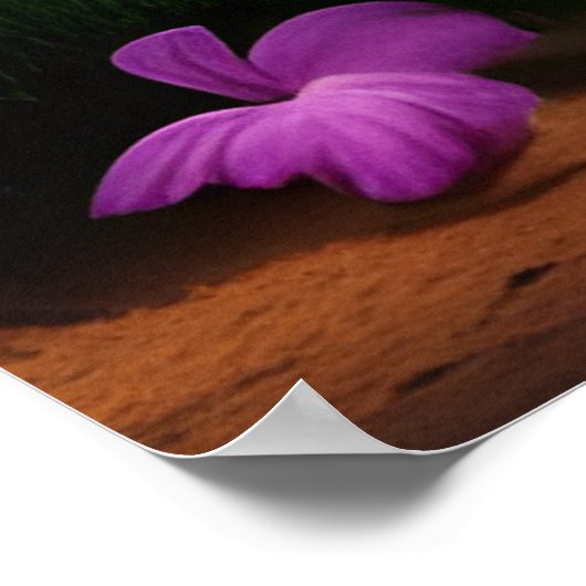 Mooie tropische uitzicht oceaanpalmen 2 poster (Hoek)